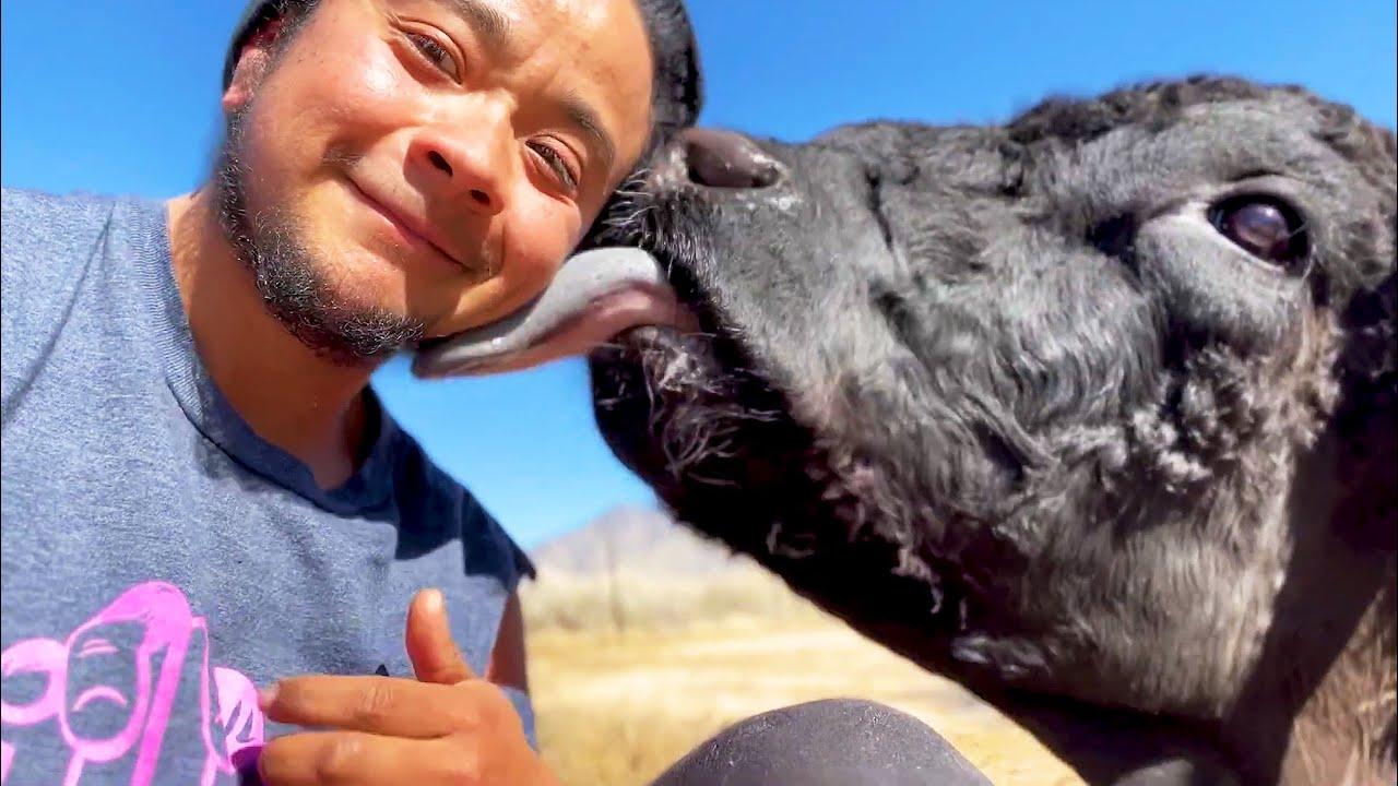 Embedded thumbnail for Top Videos of 2023 Part 45 || Rare Moments You Won't Want to Miss on Stern DuTube