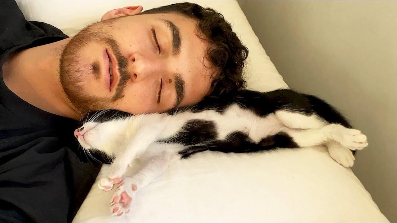 Embedded thumbnail for Die besten Videos 2024 Teil 20 | ✪ Stern DuTube mit entzückenden Haustier-Reaktionen