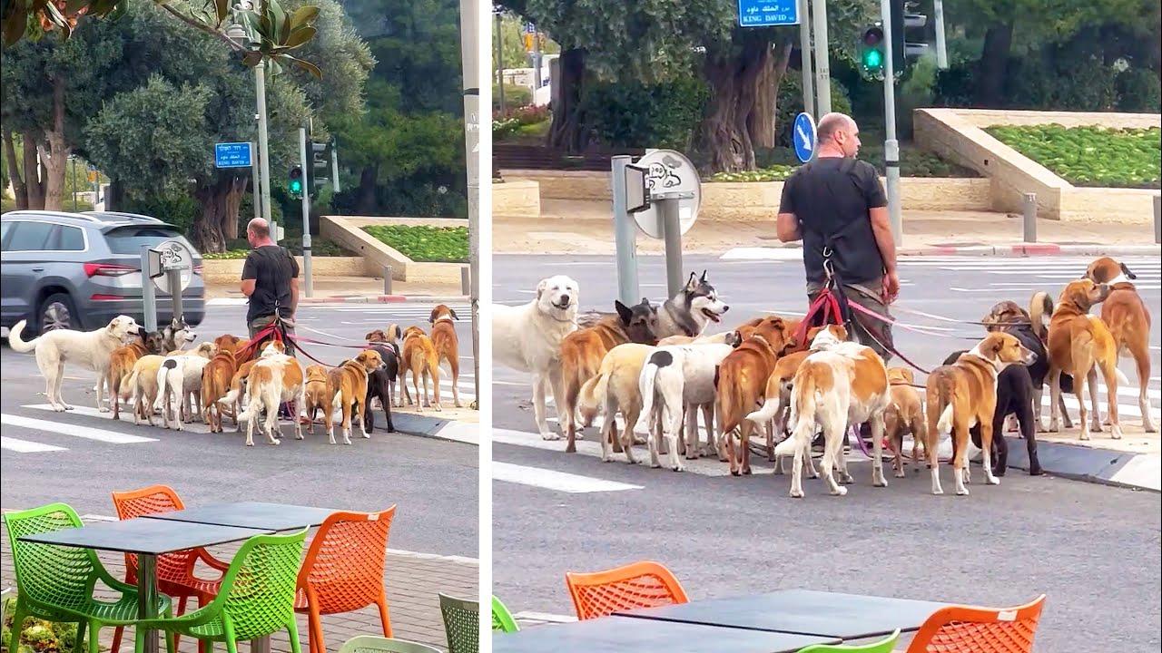 Embedded thumbnail for Die besten Videos 2024 Teil 1 – Stern DuTube und seltene Momente entdecken