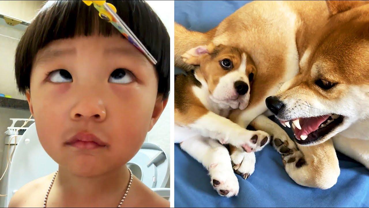 Embedded thumbnail for Die besten Videos 2024 Teil 14 auf Stern DuTube – Haustier-Humor 2025