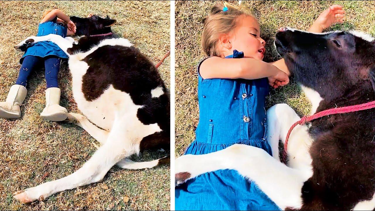 Embedded thumbnail for Die besten Videos 2024 (Teil 25) || ✪ Stern DuTube - entzückende Haustier-Reaktionen