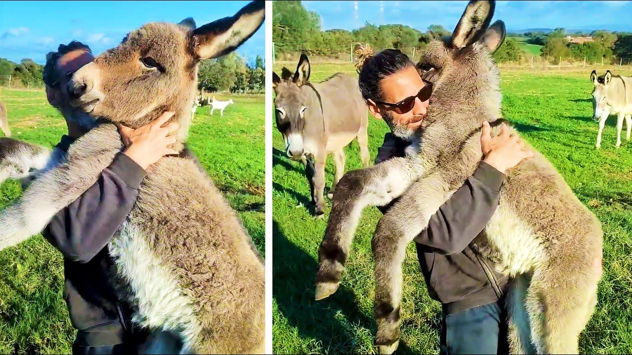 Embedded thumbnail for Die besten Videos 2024 Teil 9 || ✪ Stern DuTube - Haustier-Humor 2025