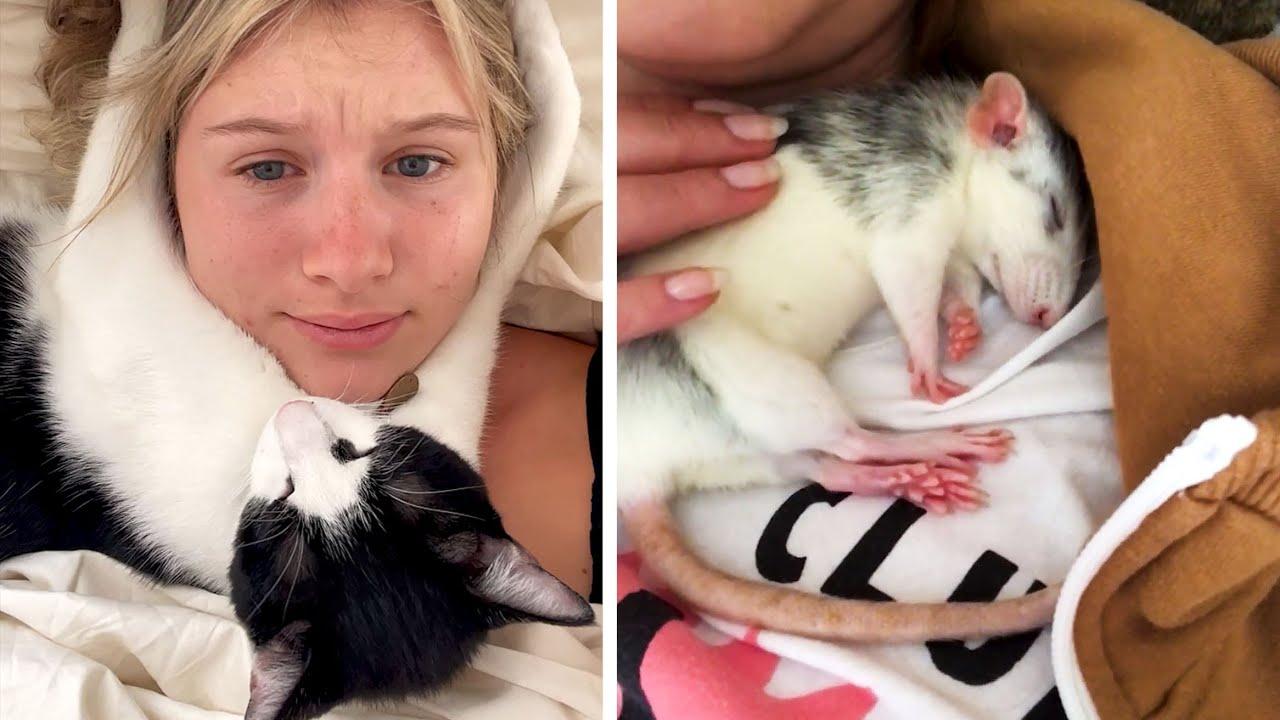 Embedded thumbnail for Best Videos of 2022 Part 83 | Amazing Highlights and Rare Moments on Stern DuTube