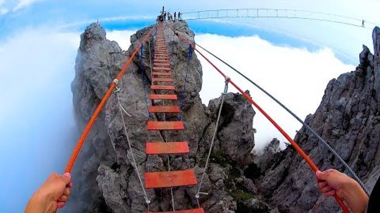 Embedded thumbnail for Best Videos Compilation Part 40 || Funny Animal Bloopers You Can't Miss