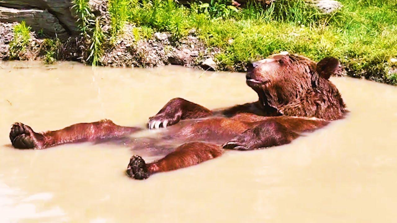 Embedded thumbnail for Top Videos of 2023 Episode 90 || ✪ Stern DuTube - Unforgettable Rare Moments Included