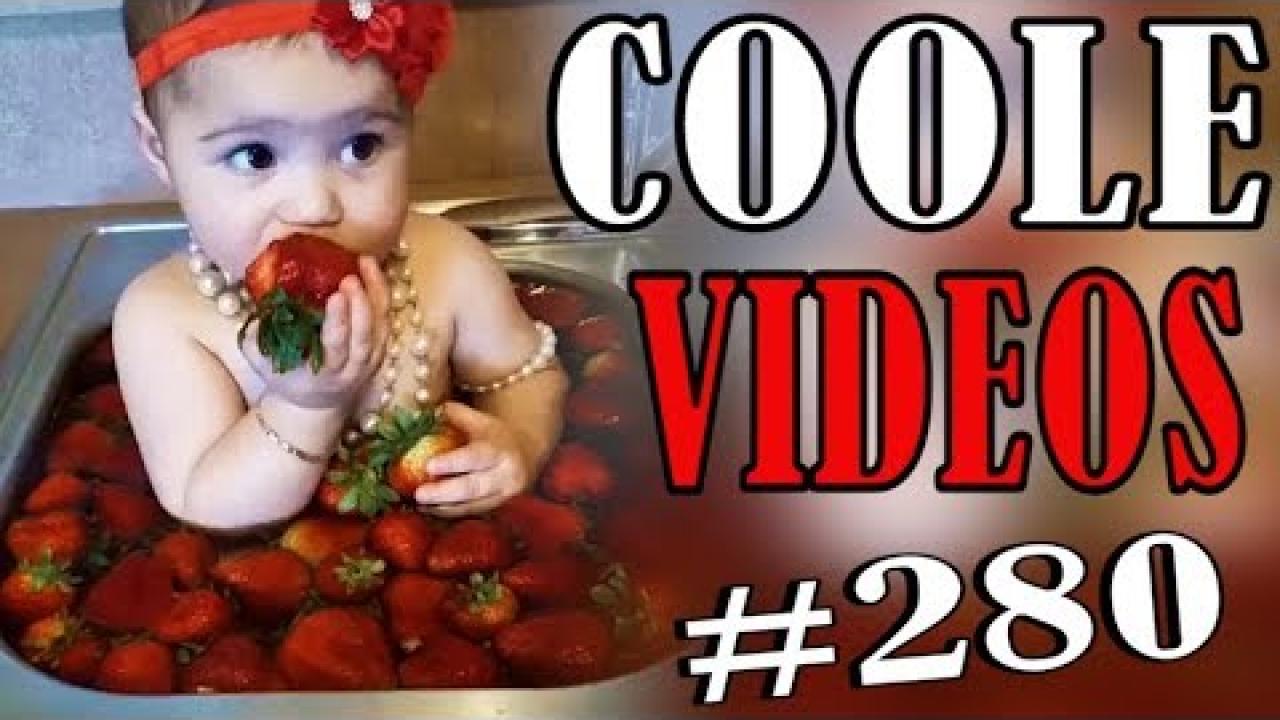 Embedded thumbnail for Coole Videos #280 - Hilarious Dog Tricks That Will Make You Laugh Out Loud