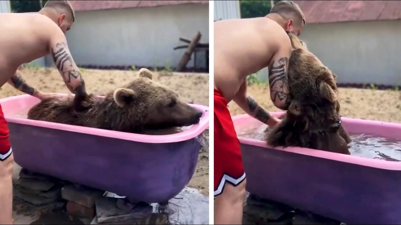 Embedded thumbnail for Best Videos of 2026 Featuring Hilarious Pet Stunts You Can't Miss on Stern DuTube