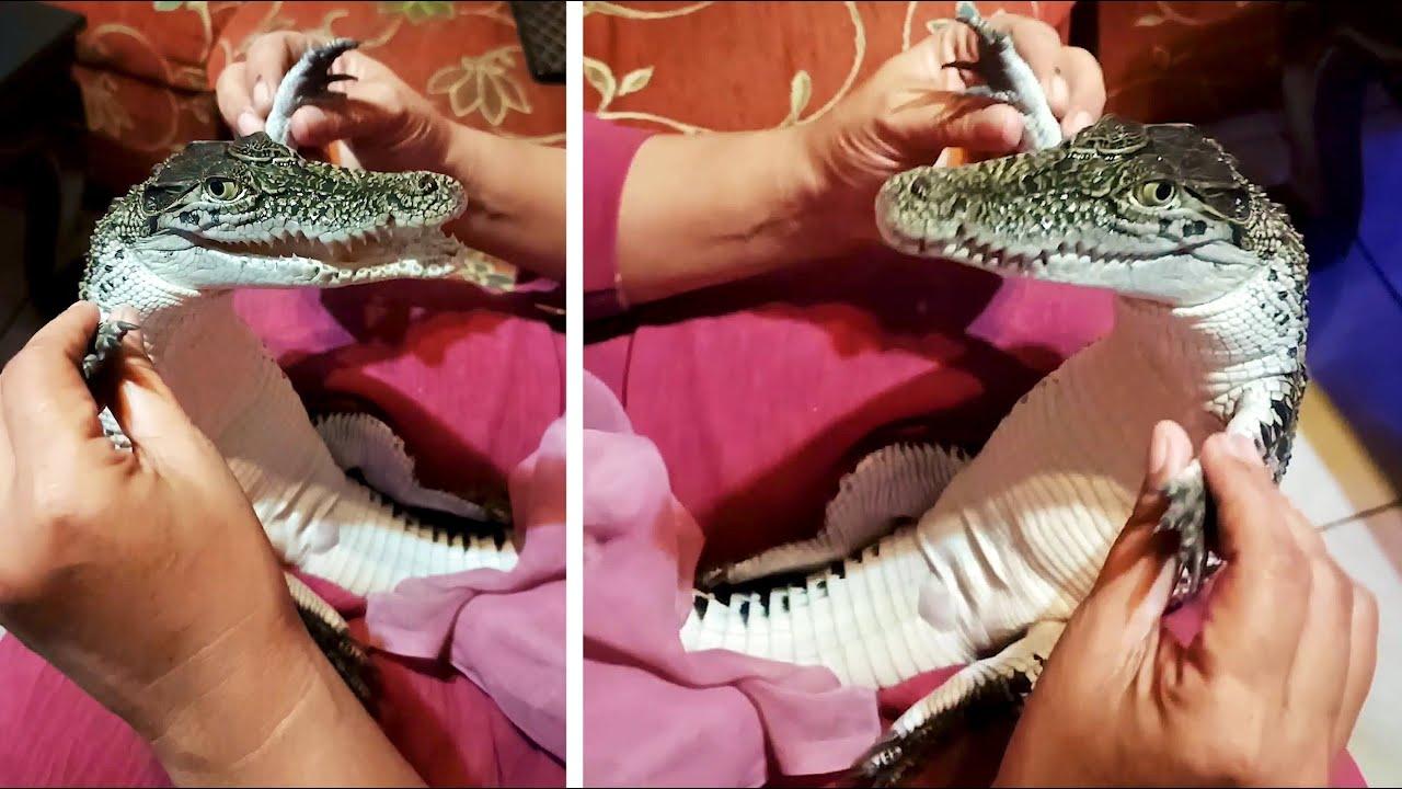 Embedded thumbnail for #82 Die besten Videos 2024 || ✪ Stern DuTube