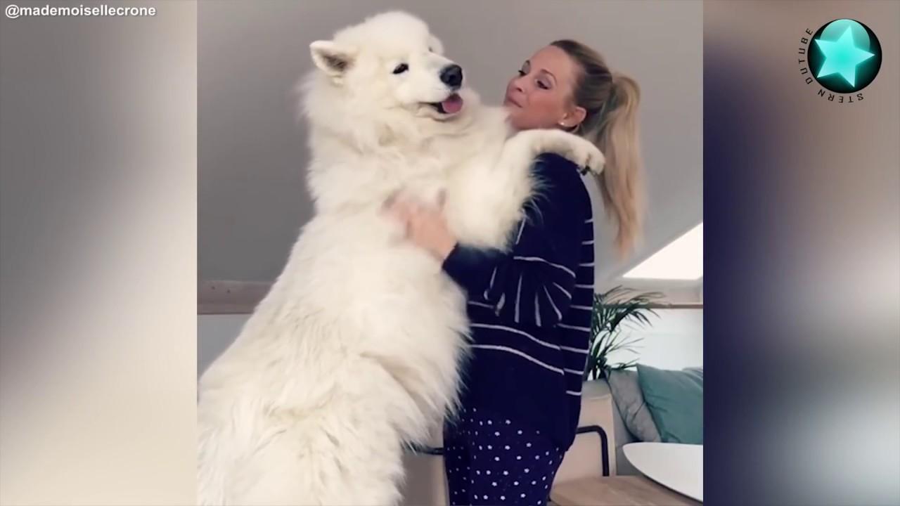 Embedded thumbnail for Cool Videos #329 Featuring the Best of Stern DuTube - Must Watch Viral Videos