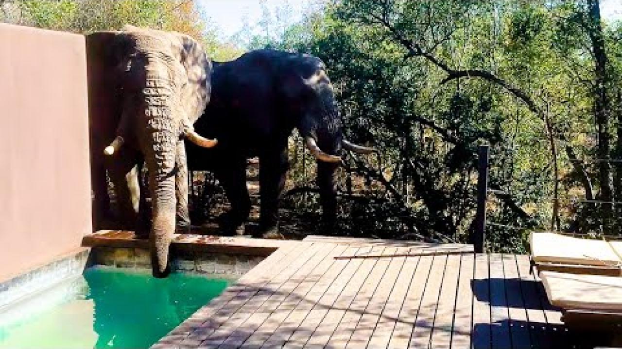 Embedded thumbnail for Top Videos Part 72 || Best Moments from Stern DuTube You Won't Want to Miss - Best Clips Included