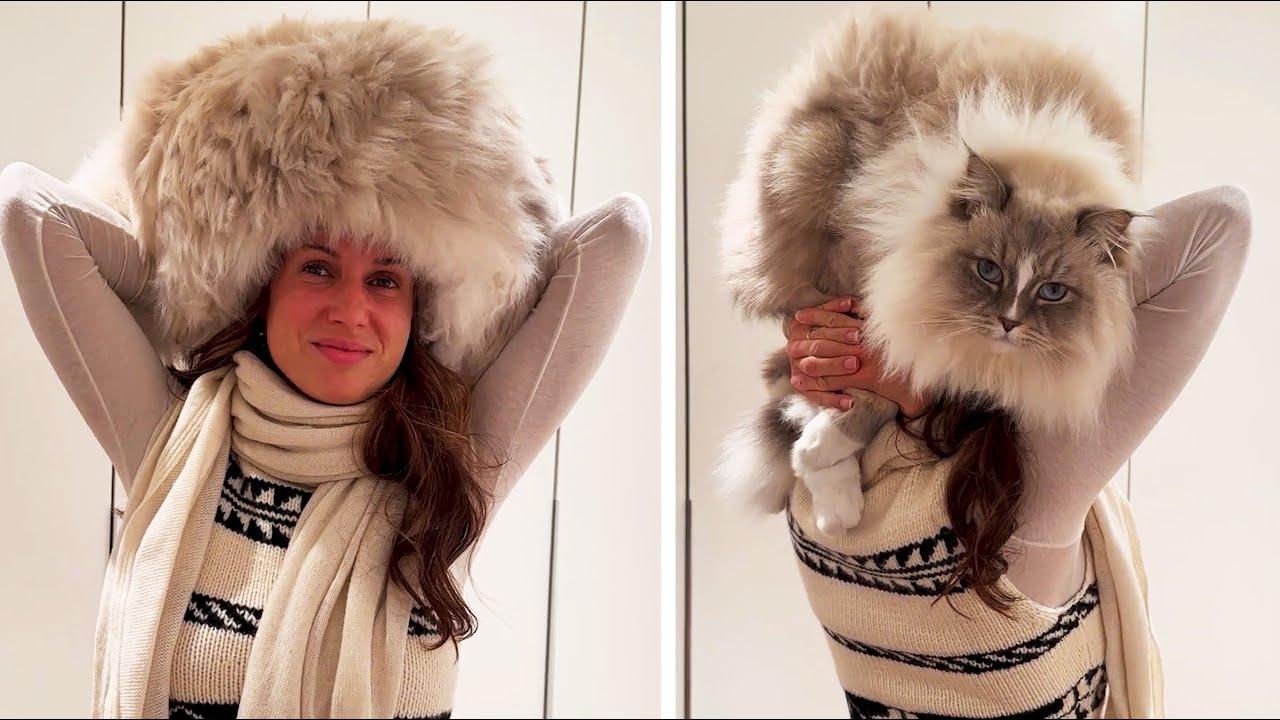 Embedded thumbnail for Die besten Videos 2024 (Teil 5) || ✪ Stern DuTube - entzückende Haustier-Reaktionen entdecken