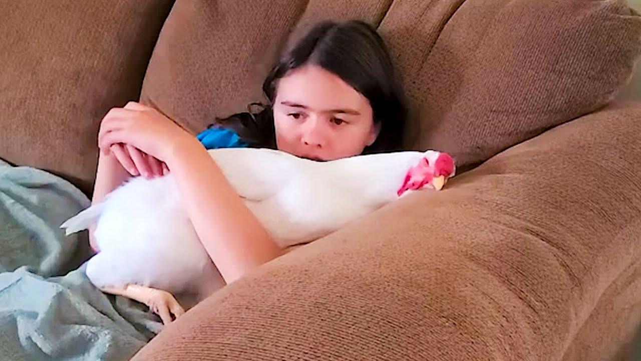 Embedded thumbnail for Top Videos Part 16 || ✪ Stern DuTube - Must-See Dog Videos Included