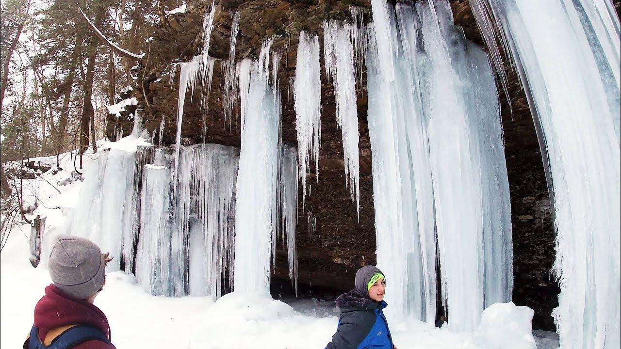 Embedded thumbnail for The Best Videos of All Time Part 24 | Hilarious Animal Bloopers You Can't Miss