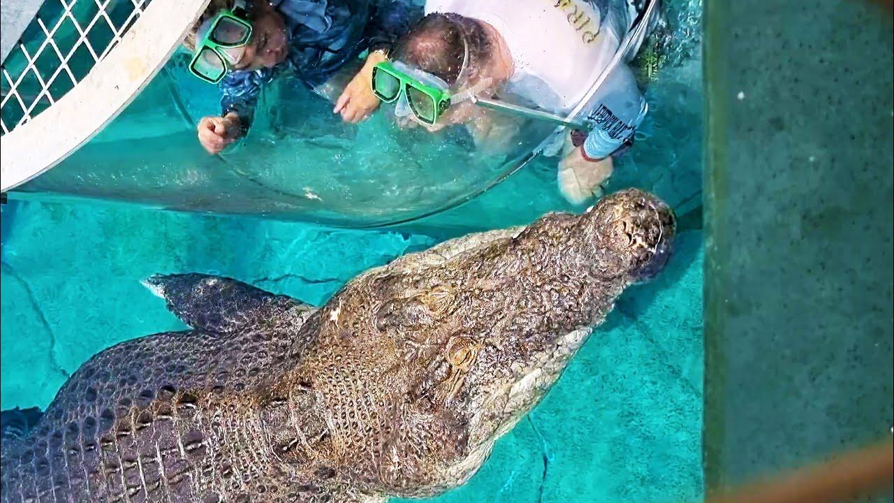 Embedded thumbnail for Die besten Videos 2023 Teil 123 || ✪ Stern DuTube mit komischen Pannen für beste Unterhaltung