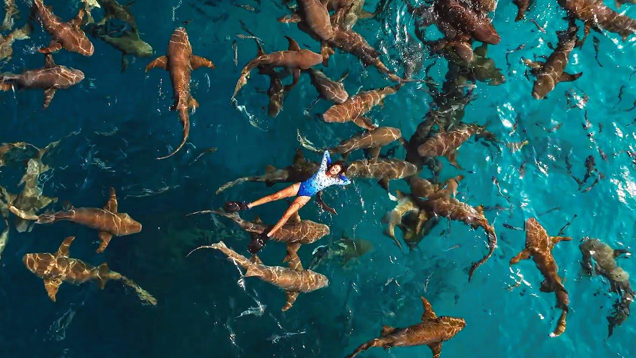 Embedded thumbnail for Die besten Videos 2024 von Stern DuTube mit entzückenden Haustier-Reaktionen