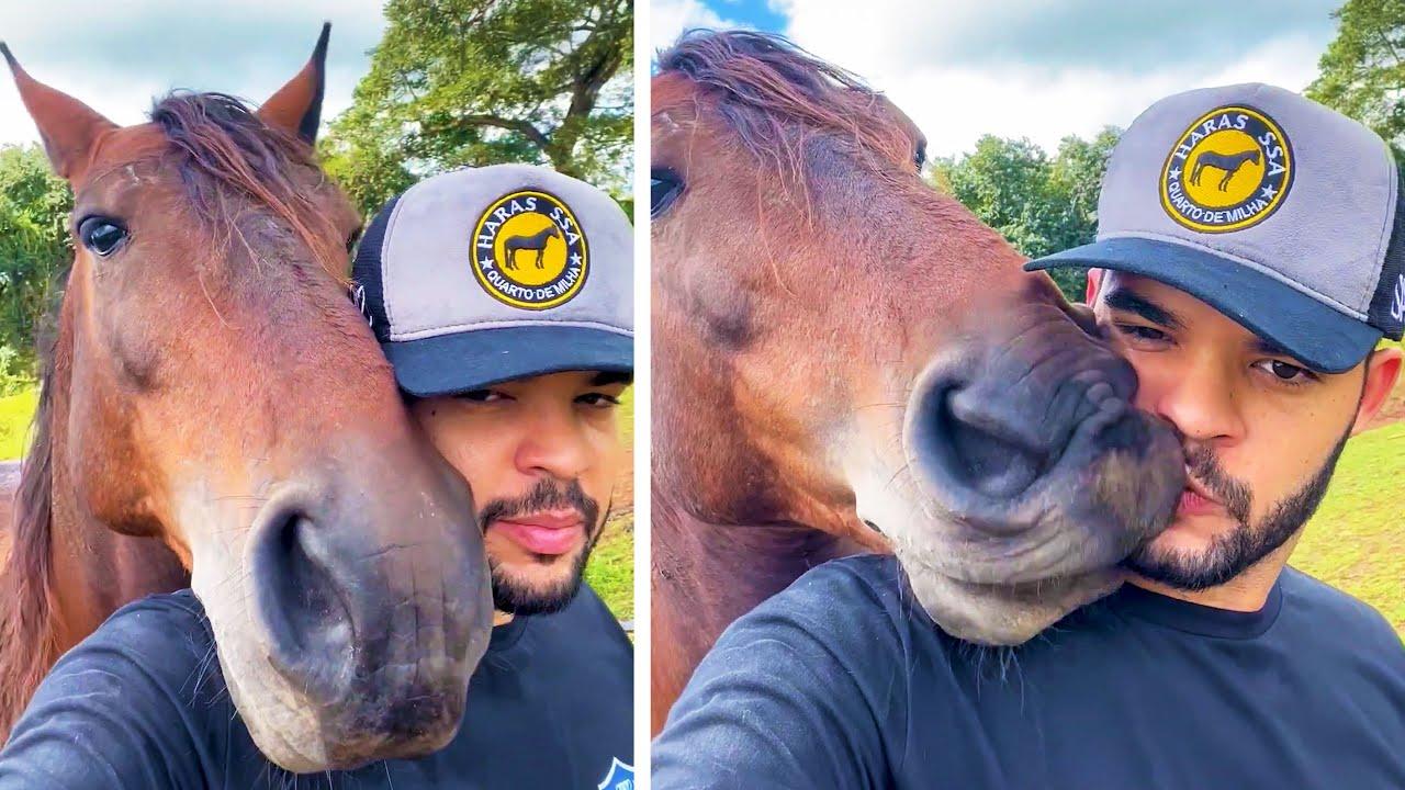 Embedded thumbnail for Top Videos of 2023 Part 86 || ✪ Stern DuTube - Rare Moments You Can't Miss