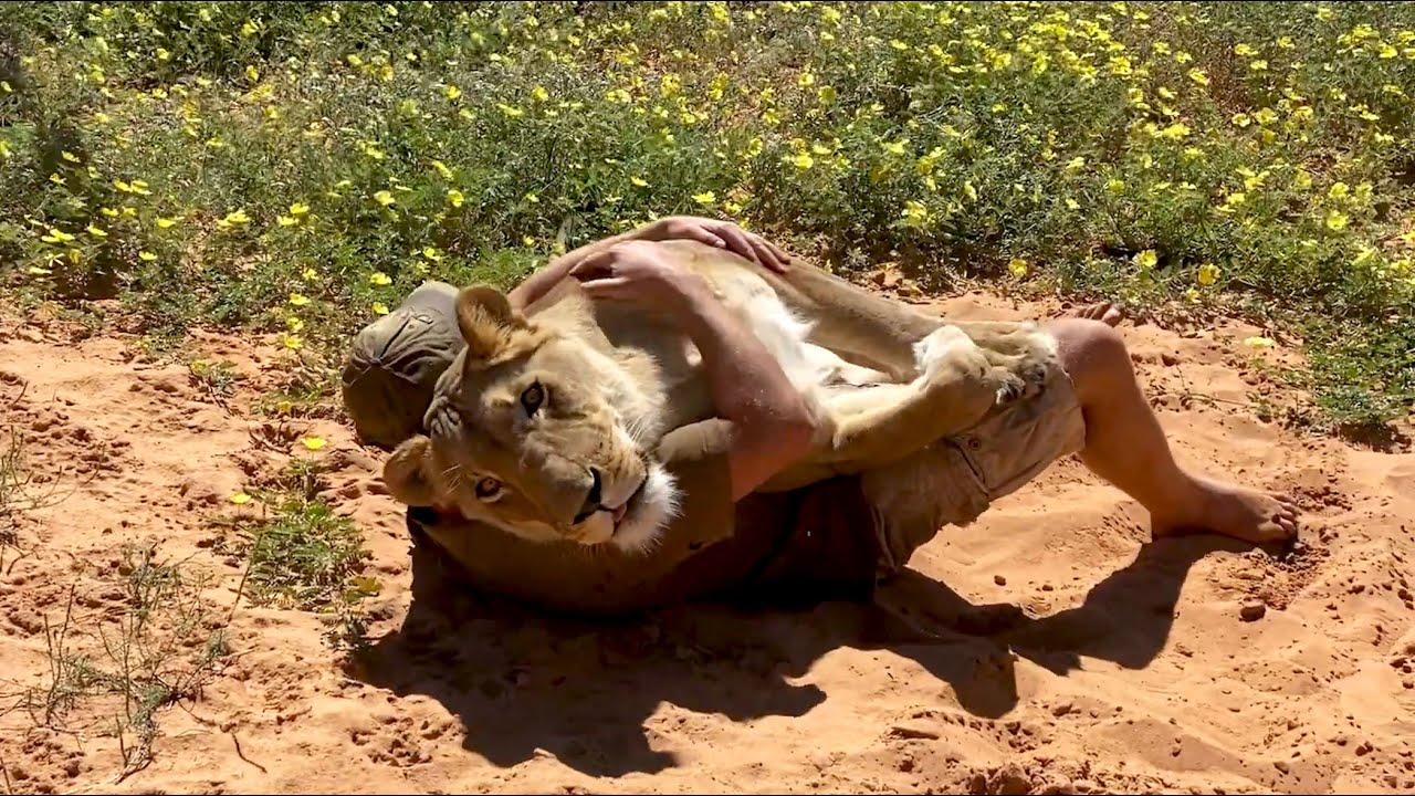 Embedded thumbnail for Best Videos of 2022 Part 48 - Unique Moments from Stern DuTube to Enjoy