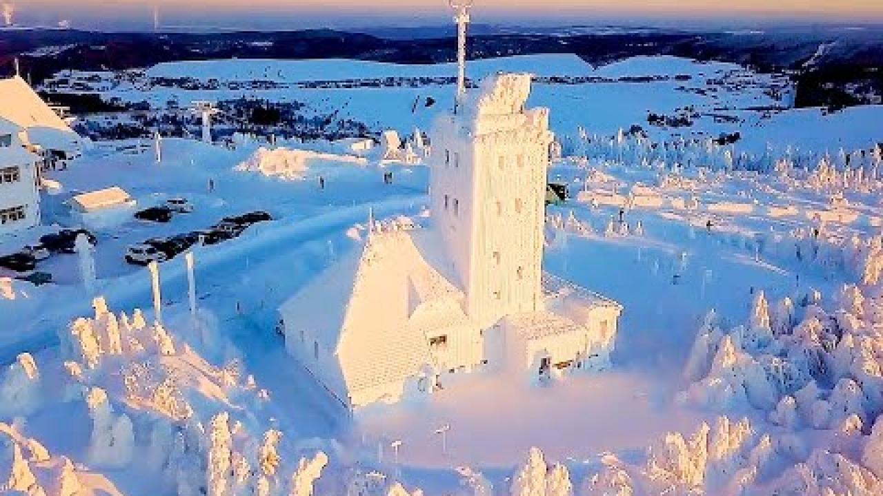 Embedded thumbnail for Top 10 Funniest Pet Videos Compilation Part 61 | Stern DuTube Pet Humor 2025