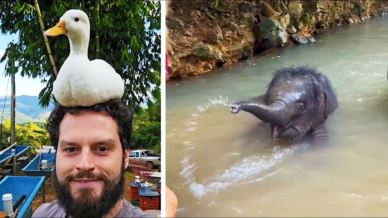 Embedded thumbnail for Die besten Videos 2025 || Stern DuTube präsentiert komische Pannen