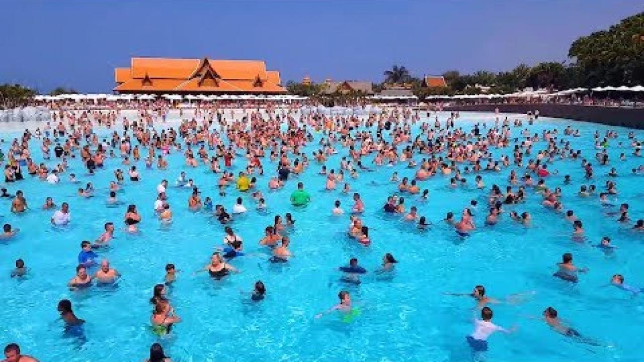 Embedded thumbnail for The Best Videos Part 15 || Funny Animal Bloopers That Will Make You Laugh