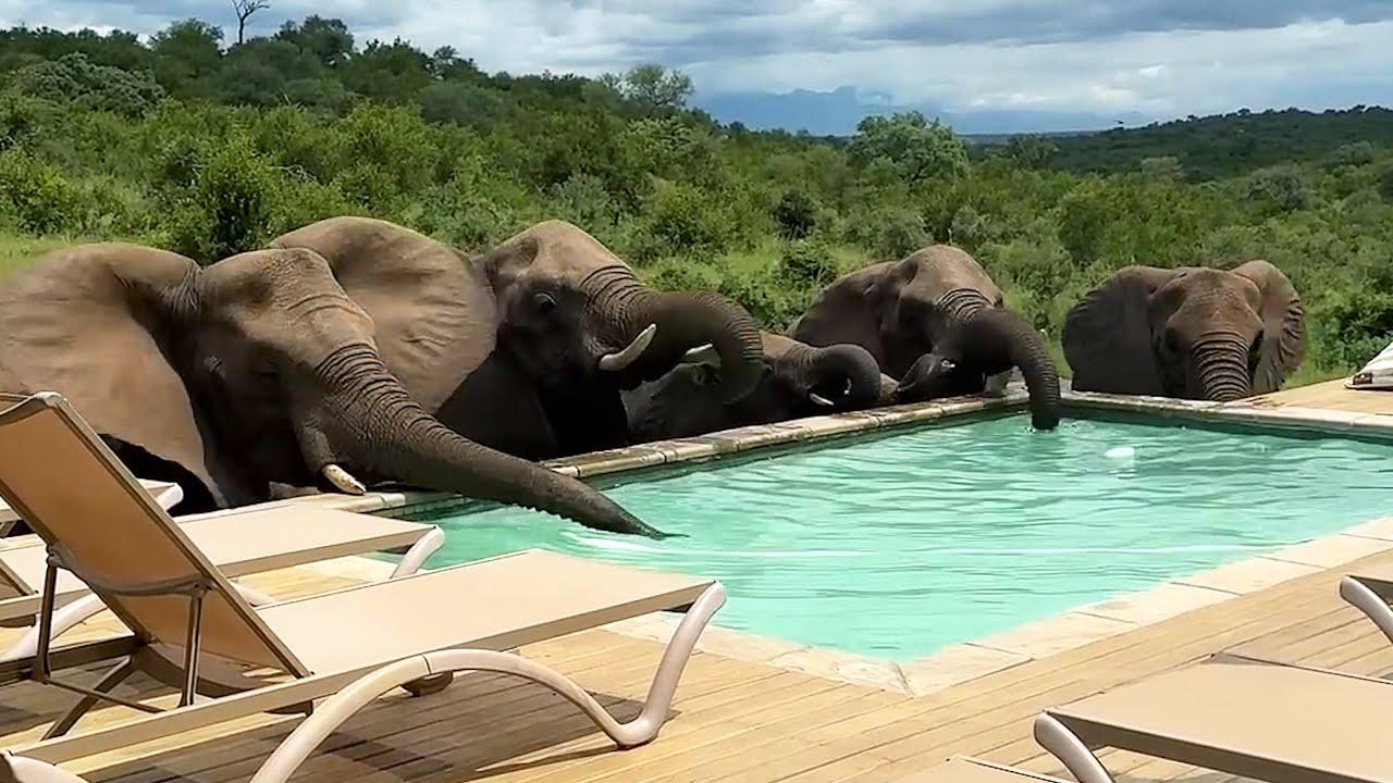 Embedded thumbnail for Die besten Videos 2025 von Stern DuTube - 2025 virale Haustier-Videos entdecken