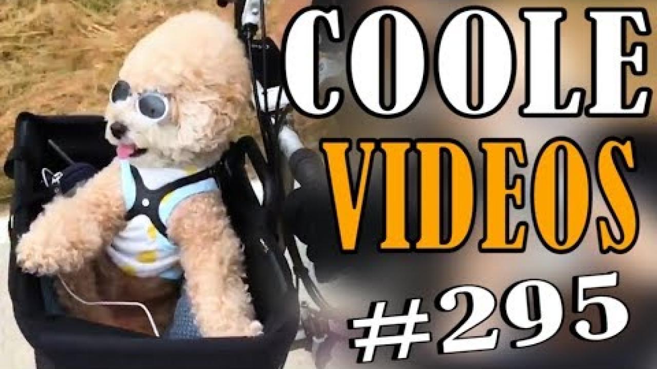 Embedded thumbnail for Coole Videos #295 | Stern DuTube Featuring Adorable Pet Moments That Will Melt Your Heart