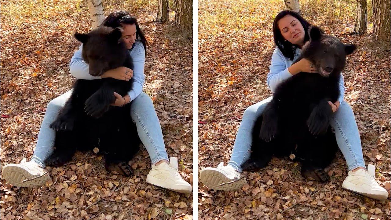 Embedded thumbnail for Les meilleures vidéos 2023 (Partie 104) || ✪ Stern DuTube avec des acrobaties amusantes d'animaux