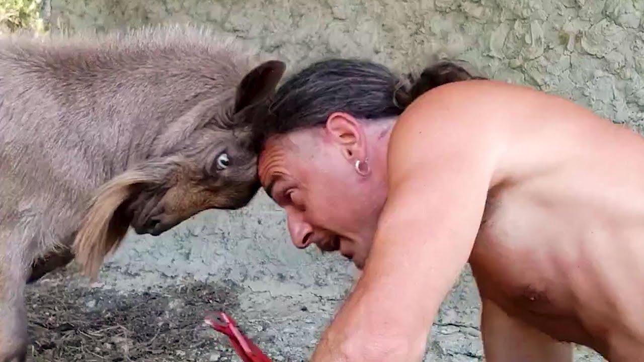 Embedded thumbnail for Die besten Videos aller Zeiten Teil 50 - Süße Haustier-Momente für Tierliebhaber