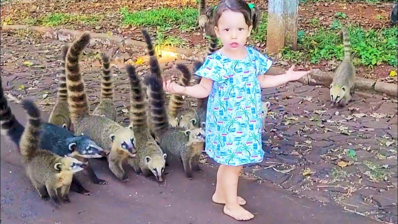 Embedded thumbnail for The Best Videos of The Year 2023 || ✪ Stern DuTube