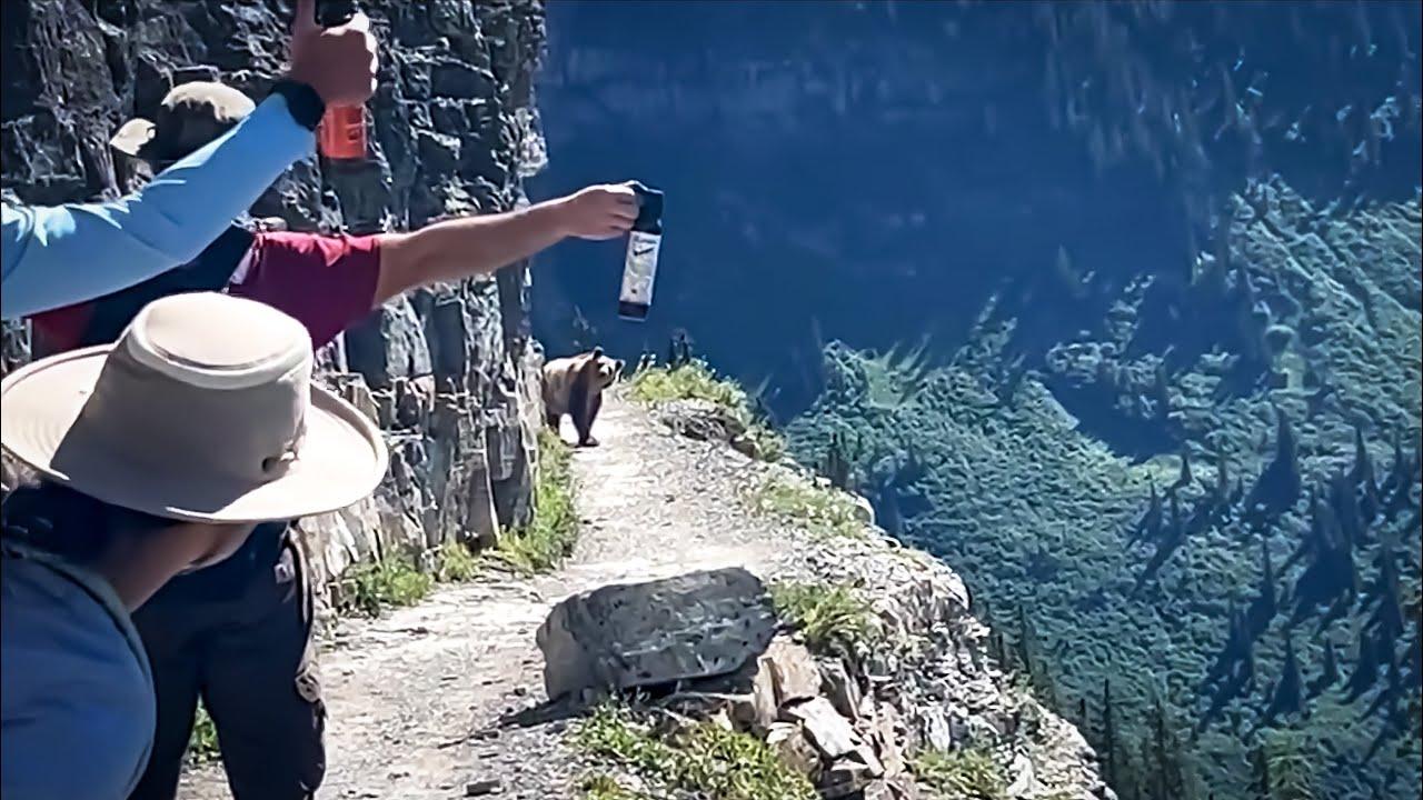 Embedded thumbnail for Top 96 Best Videos of 2025 - Funny Animal Videos You Can't Miss