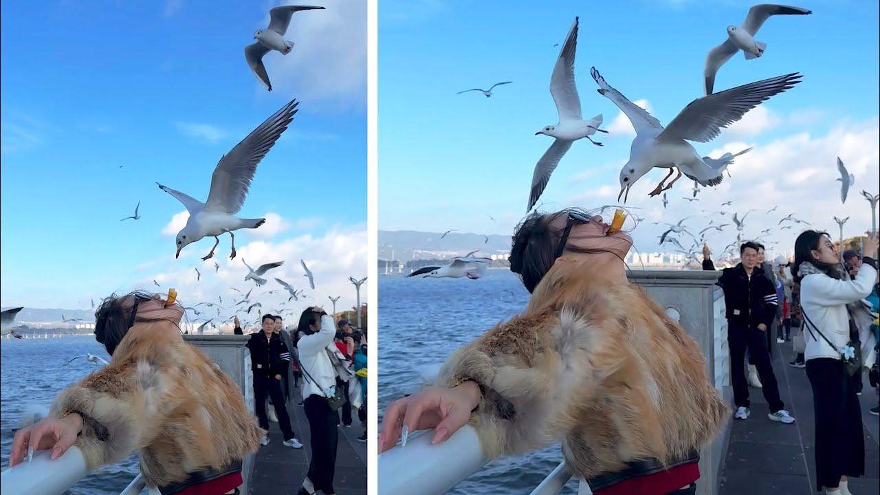 Embedded thumbnail for Die besten Videos 2025 auf Stern DuTube | Top Auswahl an Hundevideos