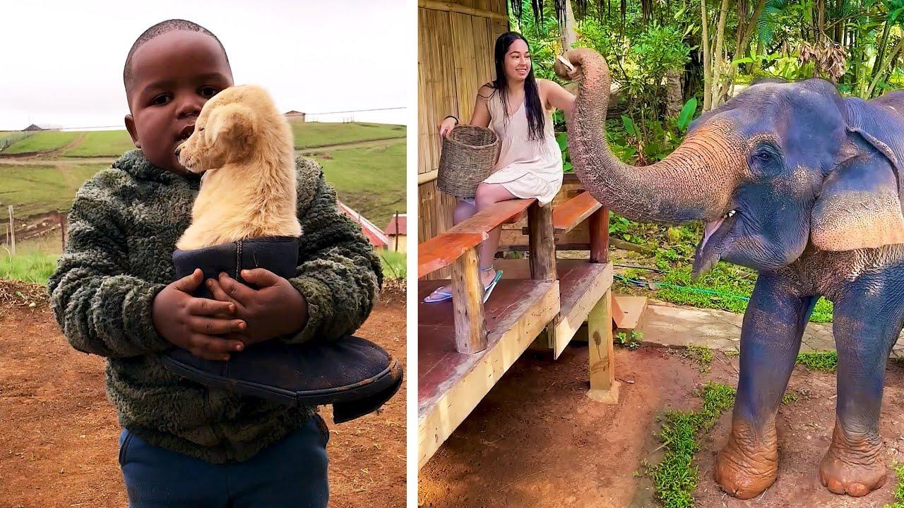 Embedded thumbnail for Die besten Videos 2025 auf Stern DuTube – Lustige Tierblunders zum Schmunzeln