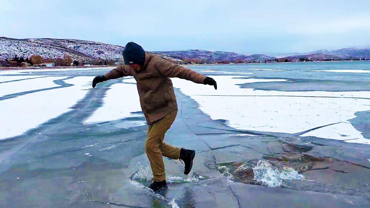 Embedded thumbnail for The Best Videos Part 6 || ✪ Stern DuTube - Laugh Out Loud with Pet Humor 2025