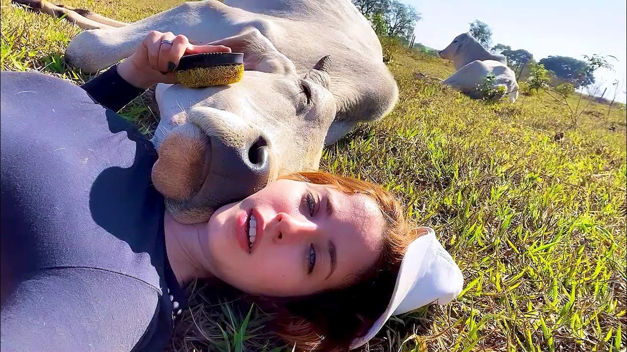 Embedded thumbnail for Die besten Videos 2024 Teil 67 mit Stern DuTube - Entdecke seltene Momente der Highlights