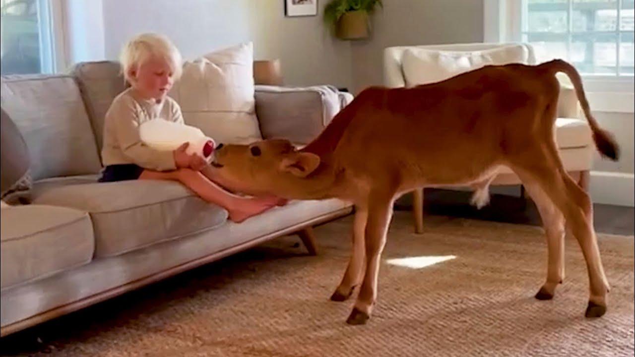 Embedded thumbnail for Die besten Videos 2025 auf Stern DuTube komische Pannen und lustige Momente entdecken