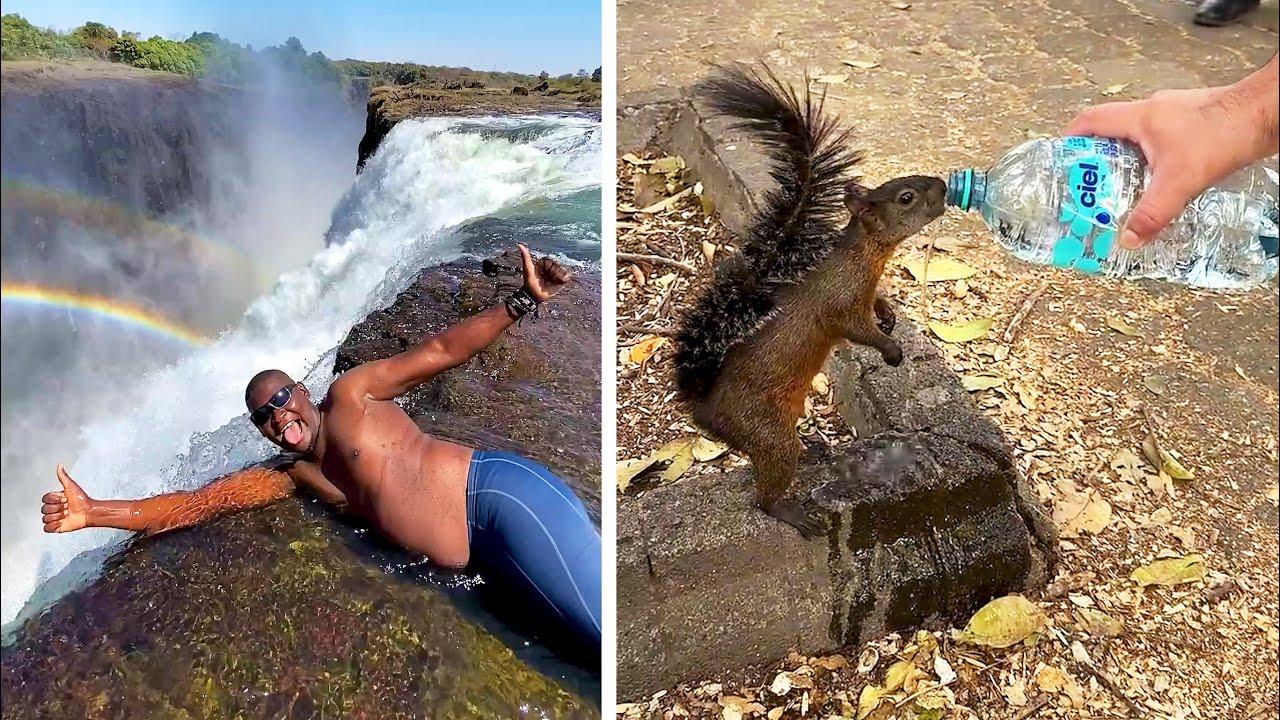 Embedded thumbnail for #47 Die besten Videos 2025 || ✪ Stern DuTube