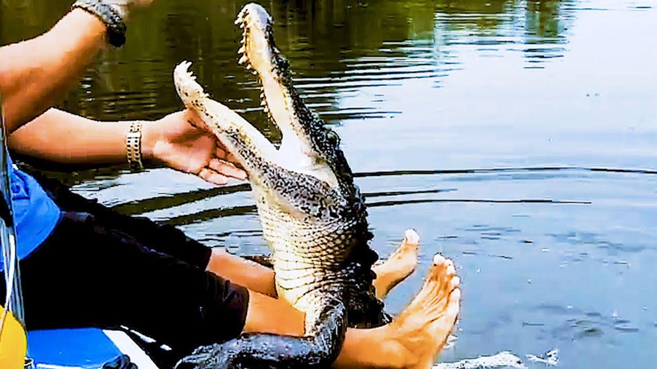 Embedded thumbnail for Best Videos of 2023 Part 89 | Stern DuTube | Funny Cat Videos to Brighten Your Day