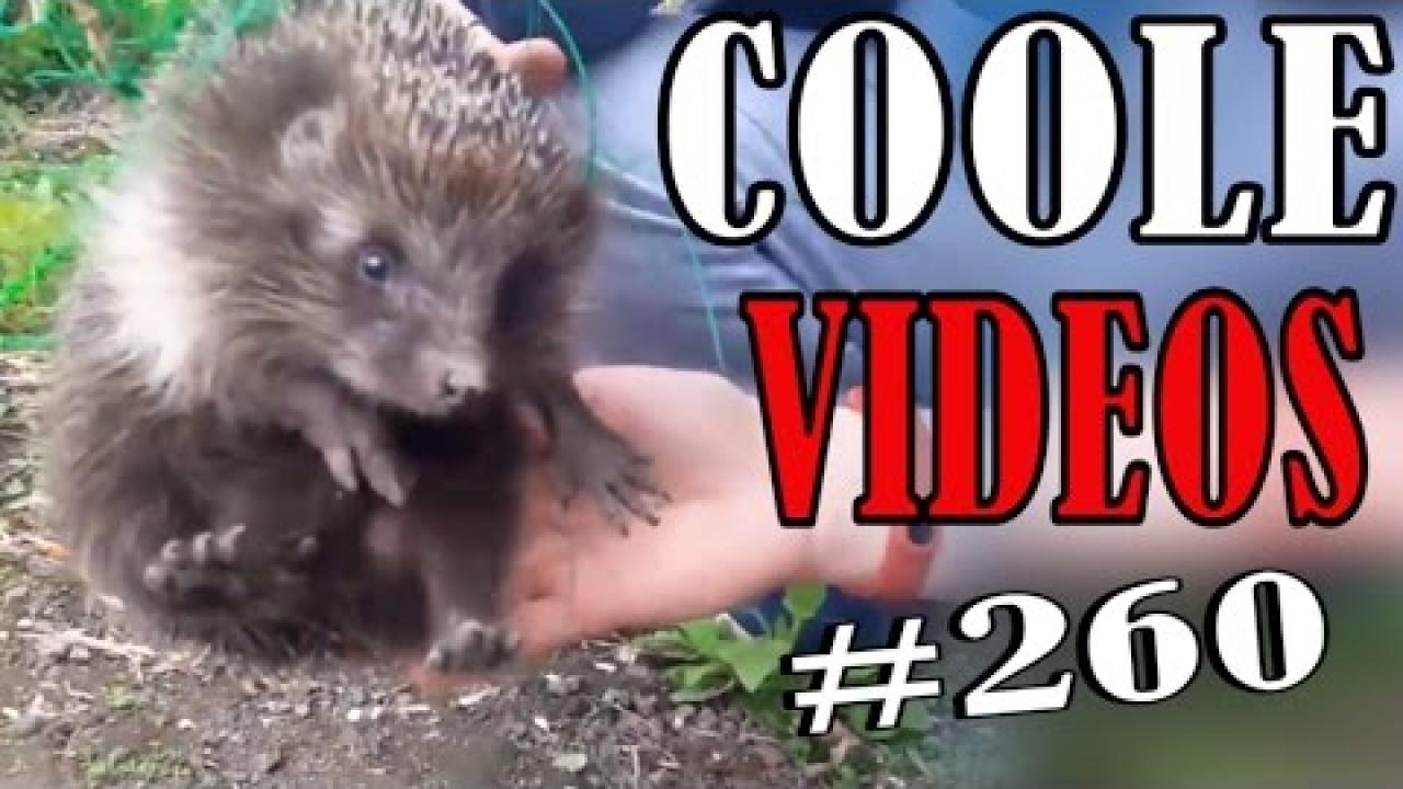 Embedded thumbnail for Cool Videos 260 by Stern DuTube: Try Not to Laugh Compilation - hilarious fails