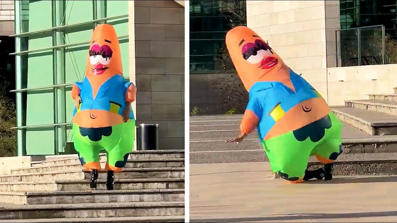 Embedded thumbnail for The Best Videos of All Time Featuring Hilarious Pet Stunts You Can't Miss