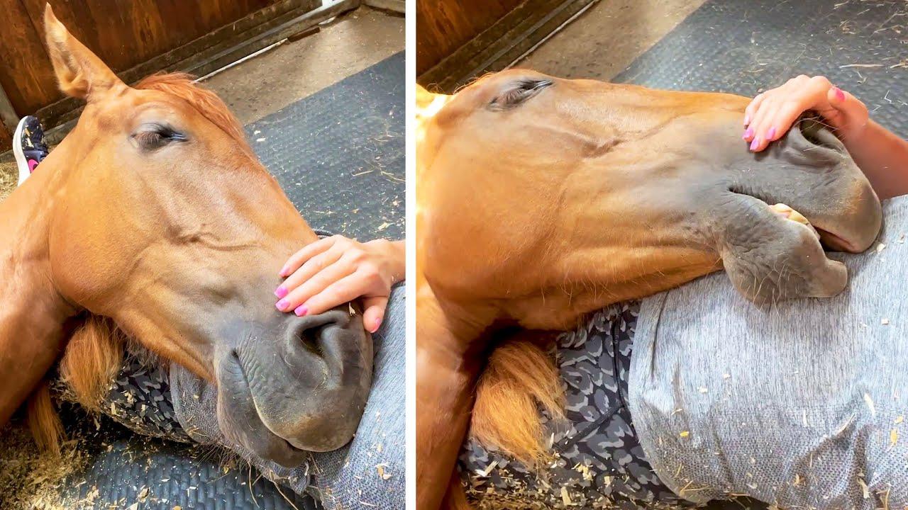 Embedded thumbnail for #46 Die besten Videos 2025 || ✪ Stern DuTube