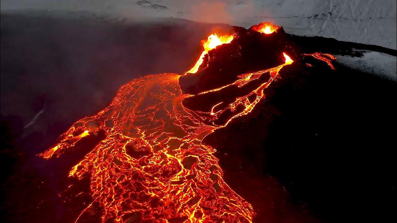 Embedded thumbnail for Best Videos Part 38 | ⭐ Stern DuTube | Amazing Dog Videos You Can’t Miss