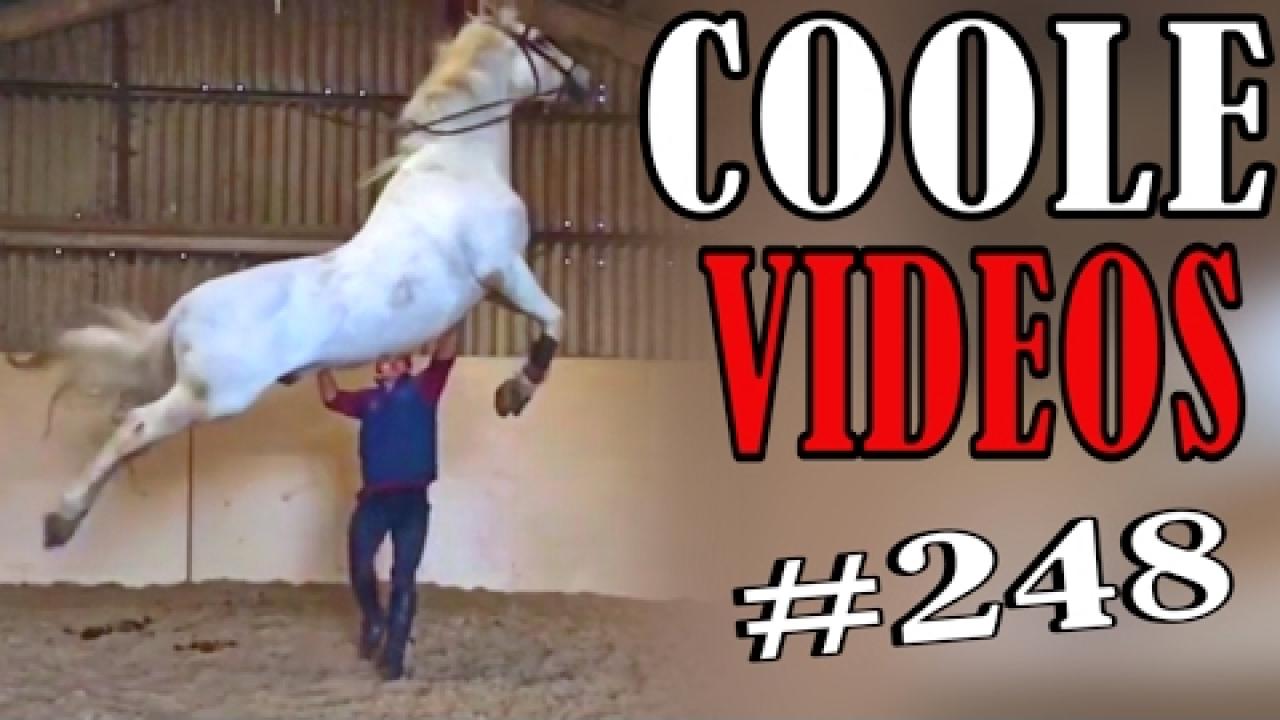 Embedded thumbnail for Cool Videos 248 by Stern DuTube Best Cute Pets and Hilarious Fails Compilation funny animal videos