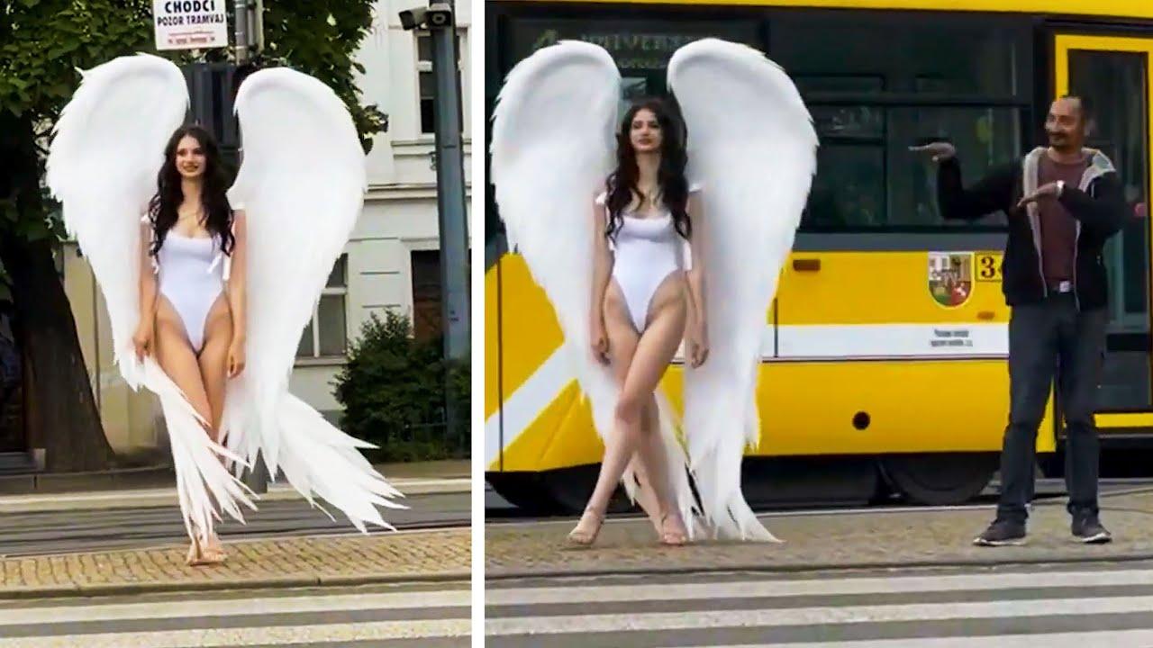 Embedded thumbnail for Die besten Videos aller Zeiten - Top 63 lustige Tiervideos für Tierliebhaber