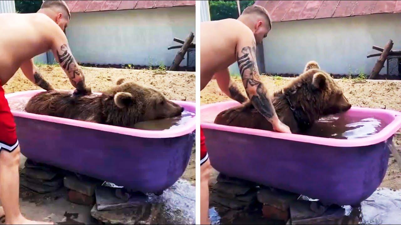 Embedded thumbnail for Die besten Videos 2023 Teil 132 | Stern DuTube mit entzückenden Haustier-Reaktionen