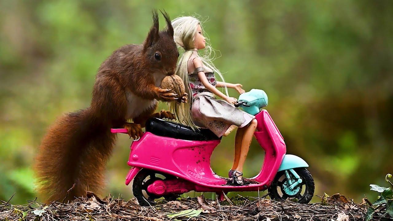 Embedded thumbnail for Die besten Videos 2024 Teil 53 || ✪ Stern DuTube Haustier-Humor 2025