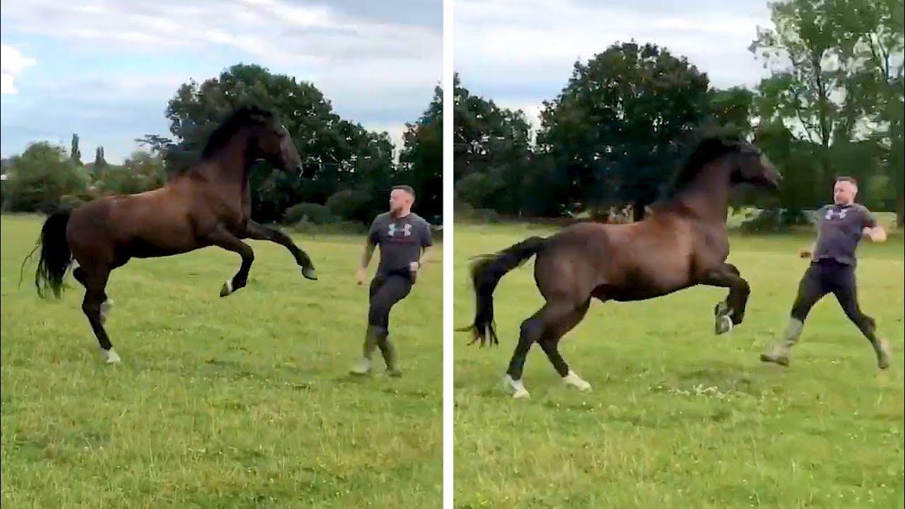 Embedded thumbnail for Top Videos Part 1 | Best Content Compilation for Laughs and Fun | Pet Humor 2025