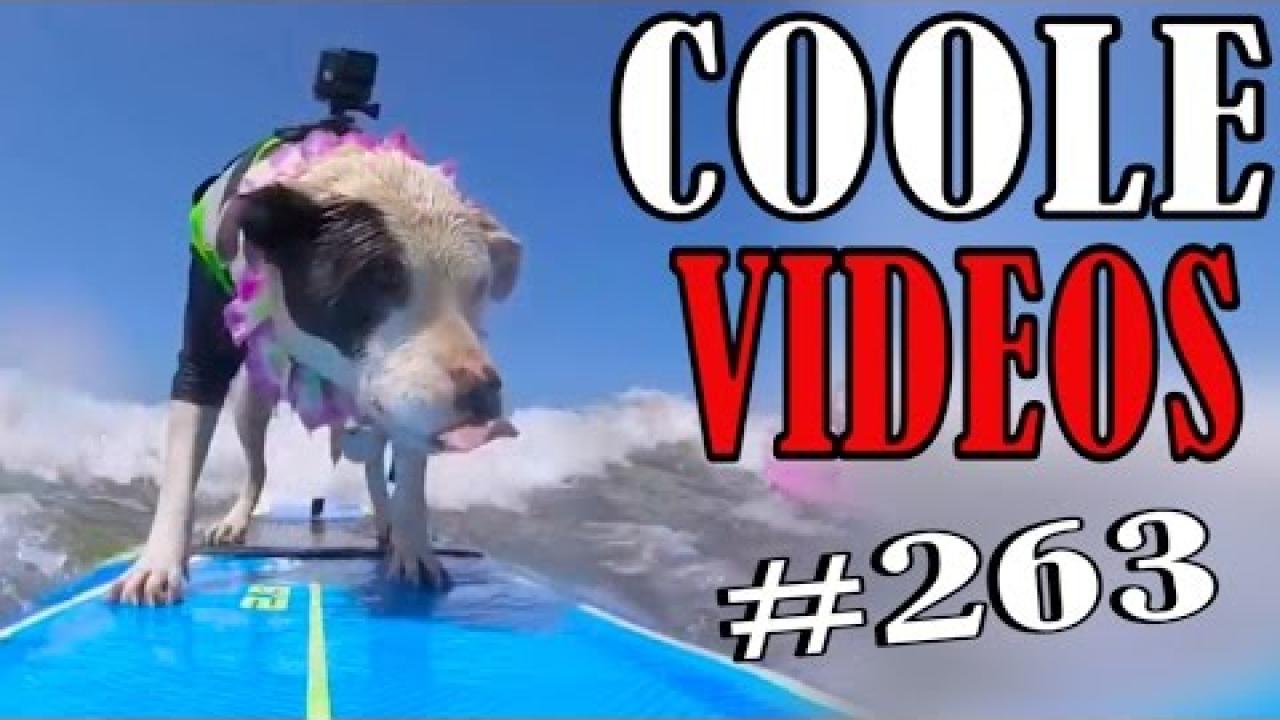 Embedded thumbnail for Videos increíbles #263 de Stern DuTube: recopilación de momentos épicos y divertidos videos virales