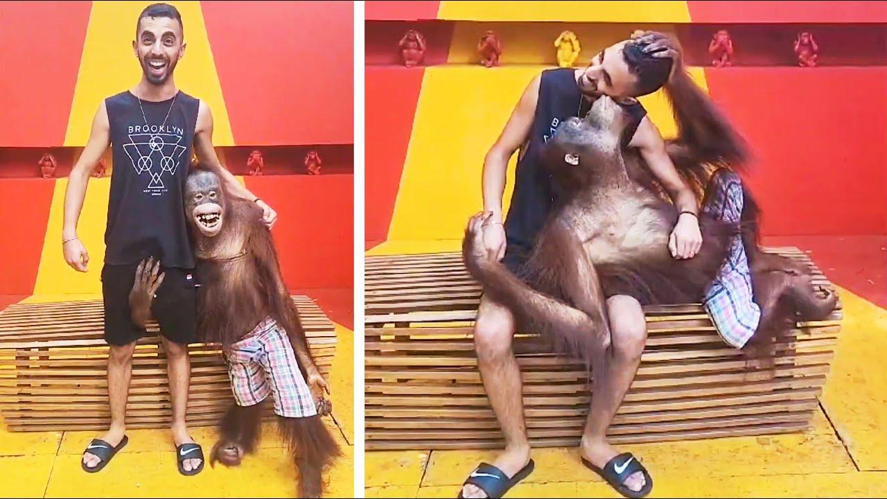 Embedded thumbnail for Die besten Videos 2023 Teil 102 auf Stern DuTube mit komischen Pannen für beste Unterhaltung