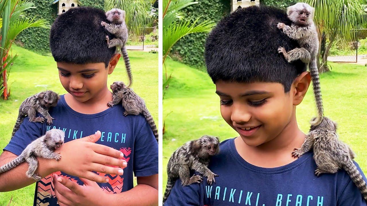 Embedded thumbnail for Die besten Videos aller Zeiten Die Top 10 Highlights lustige Zusammenstellung