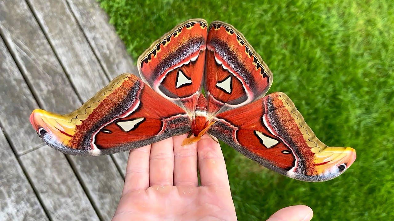 Embedded thumbnail for Die besten Videos 2023 Teil 112 von Stern DuTube - Hundefail-Momente die du nicht verpassen darfst